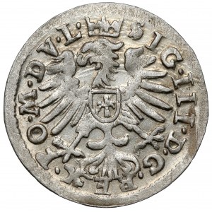 Zikmund III Vasa, Vilnius Penny 1609