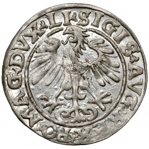 Sigismund II Augustus, halber Pfennig Vilnius 1554 - seltenes Jahr