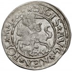 Sigismund II Augustus, Vilnius 1545 halber Pfennig - 1 Typ - sehr selten