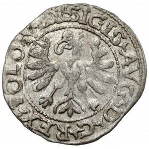 Zygmunt II August, Półgrosz Tykocin 1566 - Jastrzębiec - piękny