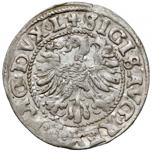 Sigismund II Augustus, Halbgrosse Vilnius 1546 - der älteste