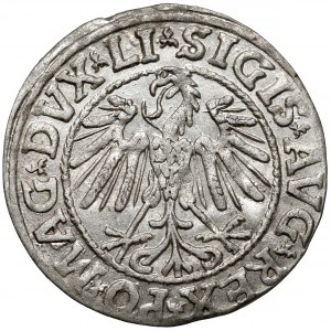 Zygmunt II August, Półgrosz Wilno 1546 - późny