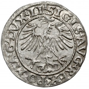 Zikmund II August, půlpenny Vilnius 1553 - vzácnější