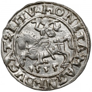 Zikmund II August, půlpenny Vilnius 1555