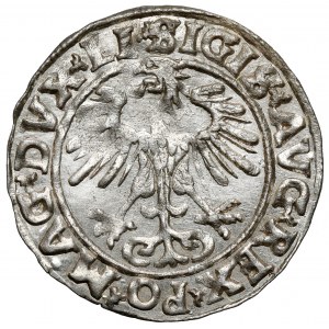 Zikmund II August, půlpenny Vilnius 1555