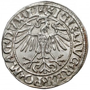 Sigismund II. Augustus, halber Pfennig Vilnius 1550