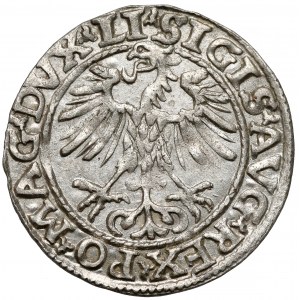 Zikmund II August, půlpenny Vilnius 1553 - vzácnější