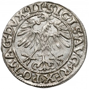 Žigmund II August, polgroš Vilnius 1553 - vzácnejšie