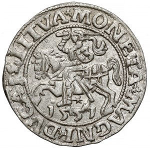 Sigismund II. Augustus, halber Pfennig Vilnius 1551
