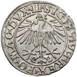 Zygmunt II August, Półgrosz Wilno 1551