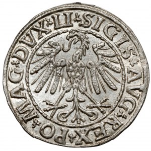 Sigismund II Augustus, halber Pfennig Vilnius 1547 - schön