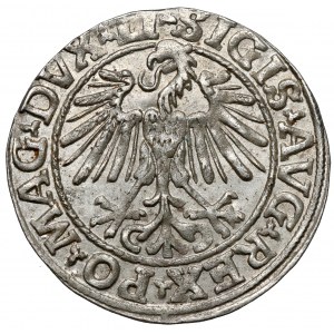 Zygmunt II August, Półgrosz Wilno 1548