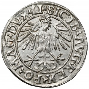 Zygmunt II August, Półgrosz Wilno 1549 - prosta - piękny