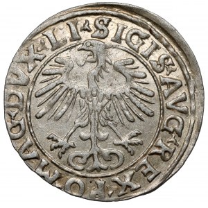 Sigismund II Augustus, halber Pfennig Vilnius 1556 - MA_NI Fehler