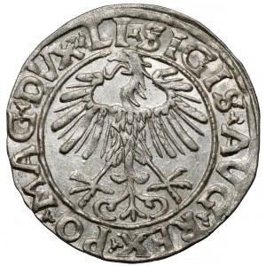 Zikmund II August, půlpenny Vilnius 1556 - krásný