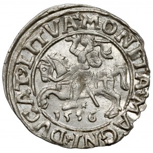 Sigismund II. Augustus, halber Pfennig Vilnius 1556