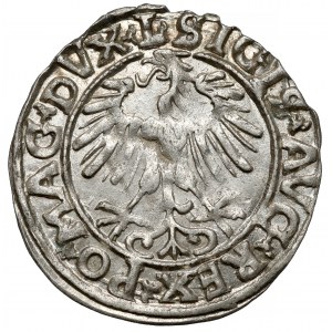 Zikmund II August, půlpenny Vilnius 1556