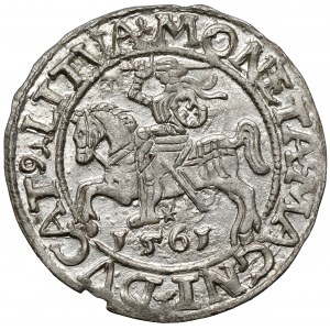 Zikmund II August, půlpenny Vilnius 1561