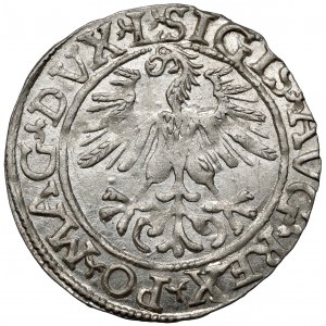 Zikmund II August, půlpenny Vilnius 1561