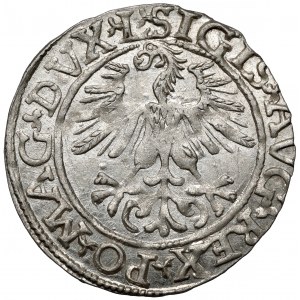Žigmund II August, polgroš Vilnius 1561