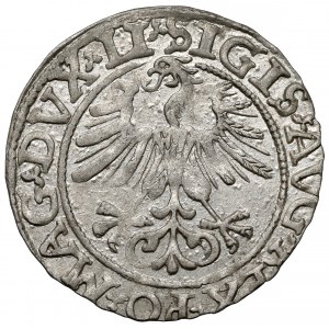 Zikmund II August, půlpenny Vilnius 1561