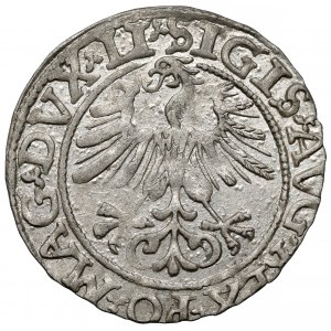Zygmunt II August, Półgrosz Wilno 1561