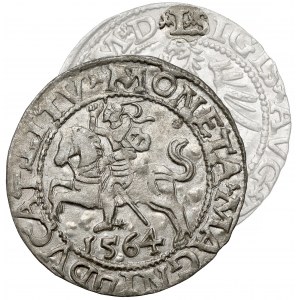 Sigismund II Augustus, halber Pfennig Vilnius 1564 - selten