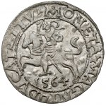 Sigismund II Augustus, halber Pfennig Vilnius 1564 - selten
