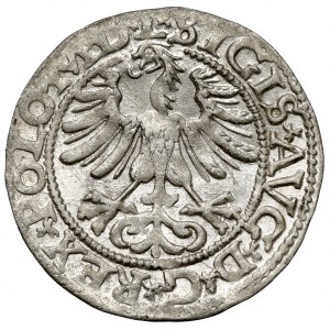 Zikmund II August, půlpenny Vilnius 1565 - krásný