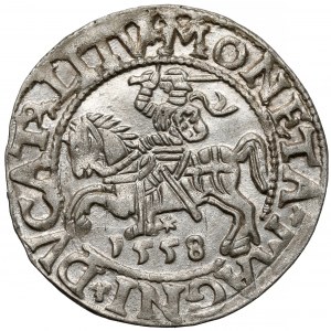 Sigismund II Augustus, halber Pfennig Vilnius 1558 - schön