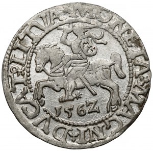 Zikmund II August, půlgroš z Vilna 1562 - počátek roku 1562