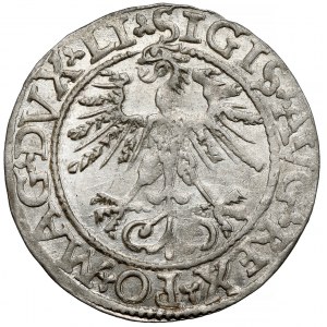 Sigismund II. Augustus, Vilniuser Halbpfennig 1562 - früh