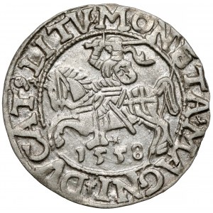 Zikmund II August, půlpenny Vilnius 1558