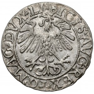 Zikmund II August, půlpenny Vilnius 1558