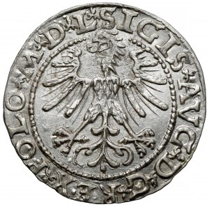 Zikmund II August, pologramotný Vilnius 1563 - malý Pogoń