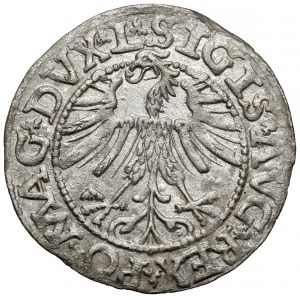 Žigmund II August, pologramotný Vilnius 1563 - veľký Pogoń
