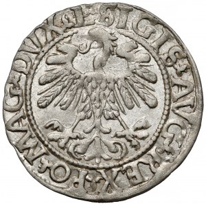 Zikmund II August, půlpenny Vilnius 1559