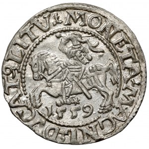 Zikmund II August, půlpenny Vilnius 1559