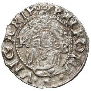 Ungarn, Ferdinand I., Denarius 1556 KB