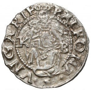 Uhersko, Ferdinand I., denár 1556 KB