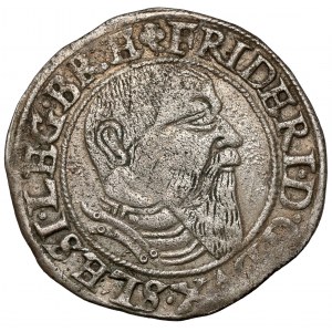 Schlesien, Friedrich II., Pfennig 1545, Legnica