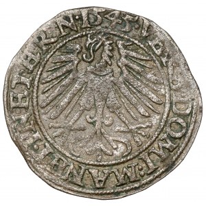 Schlesien, Friedrich II., Pfennig 1545, Legnica