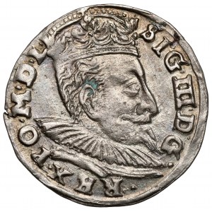 Sigismund III. Vasa, Troika Vilnius 1596 - Koste