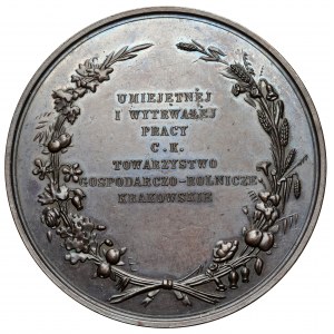 Medal, Towarzystwo Gospodarczo-Rolnicze, Kraków