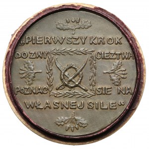 Medal 100. rocznica śmierci Tadeusza Kościuszki 1917 (Laszczka) - w pudełku