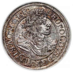 Śląsk, Leopold I, 6 krajcarów 1677 SHS, Wrocław