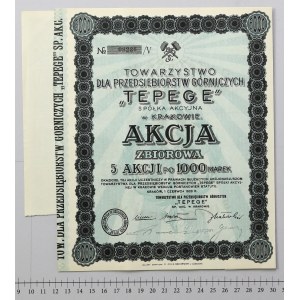 TEPEGE Tow. pro těžební společnosti, 5x 1 000 mkp 1923