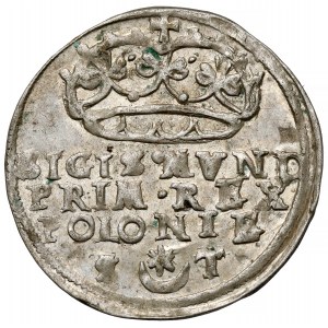 Žigmund I. Starý, krakovský groš 1546 ST - krásny a vzácny