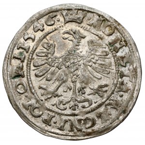 Sigismund I. der Alte, Krakauer Pfennig 1546 ST - schön und selten
