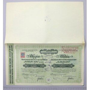 Galicyjskie Tow. Naftowe GALICJA, 238 mkp 1924